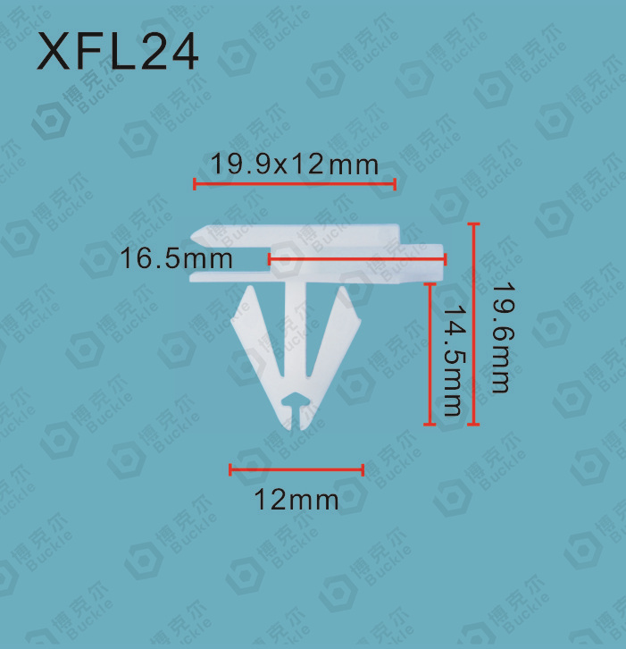 XFL24