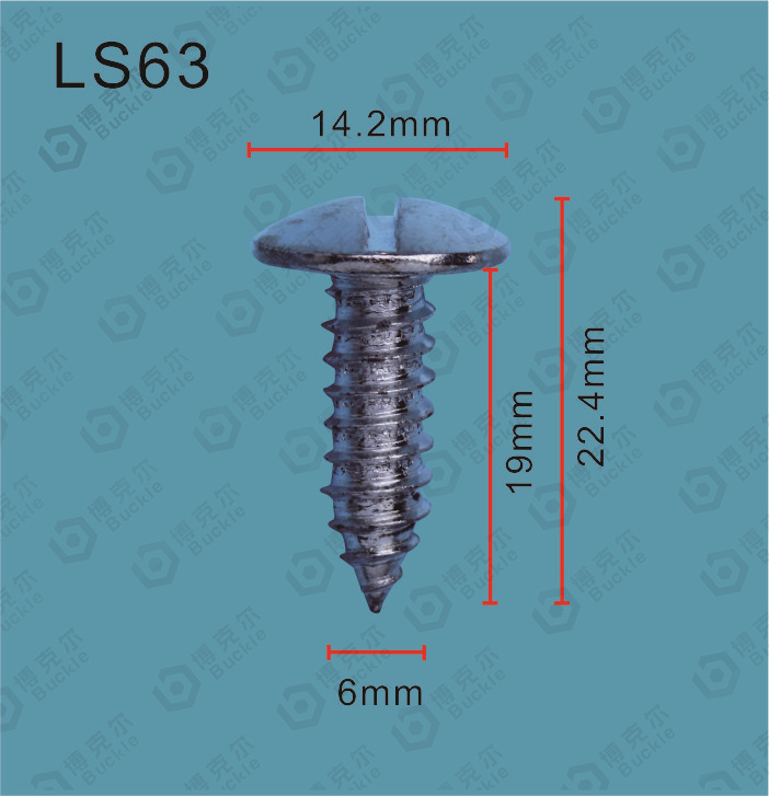 LS63