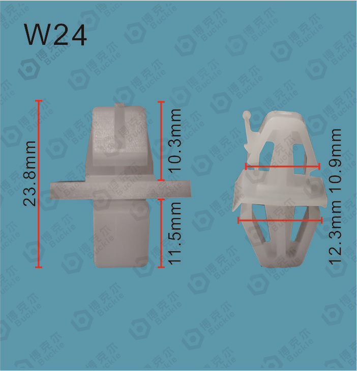 W24