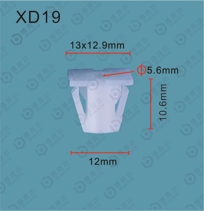 XD19