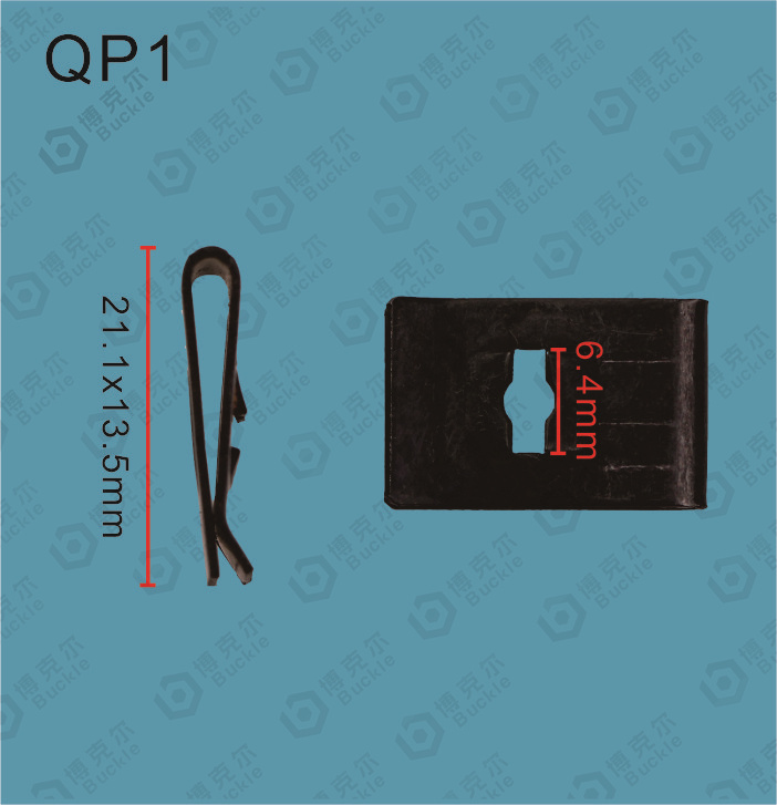 QP1