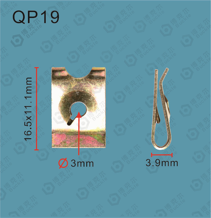 QP19