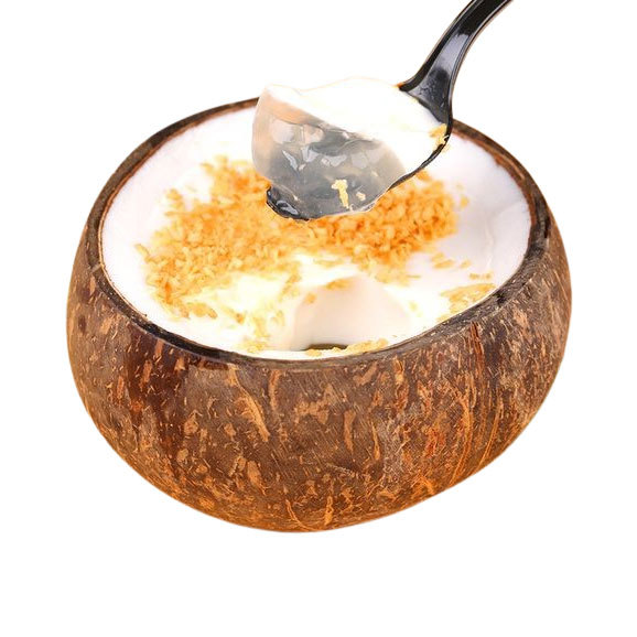 Coconut + Jelly