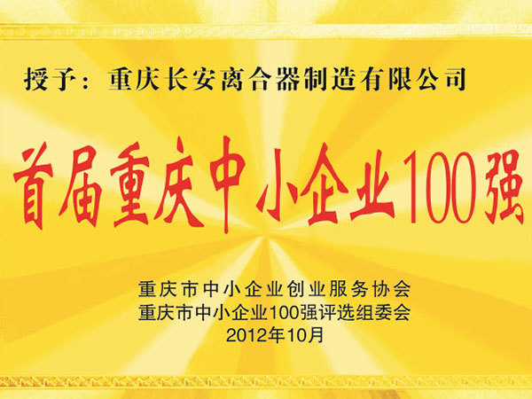 The First Chongqing Top 100 of Small and Medium Enterprises