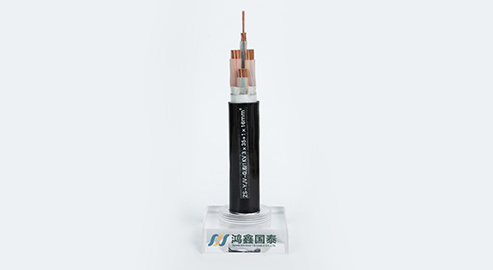 特種電纜