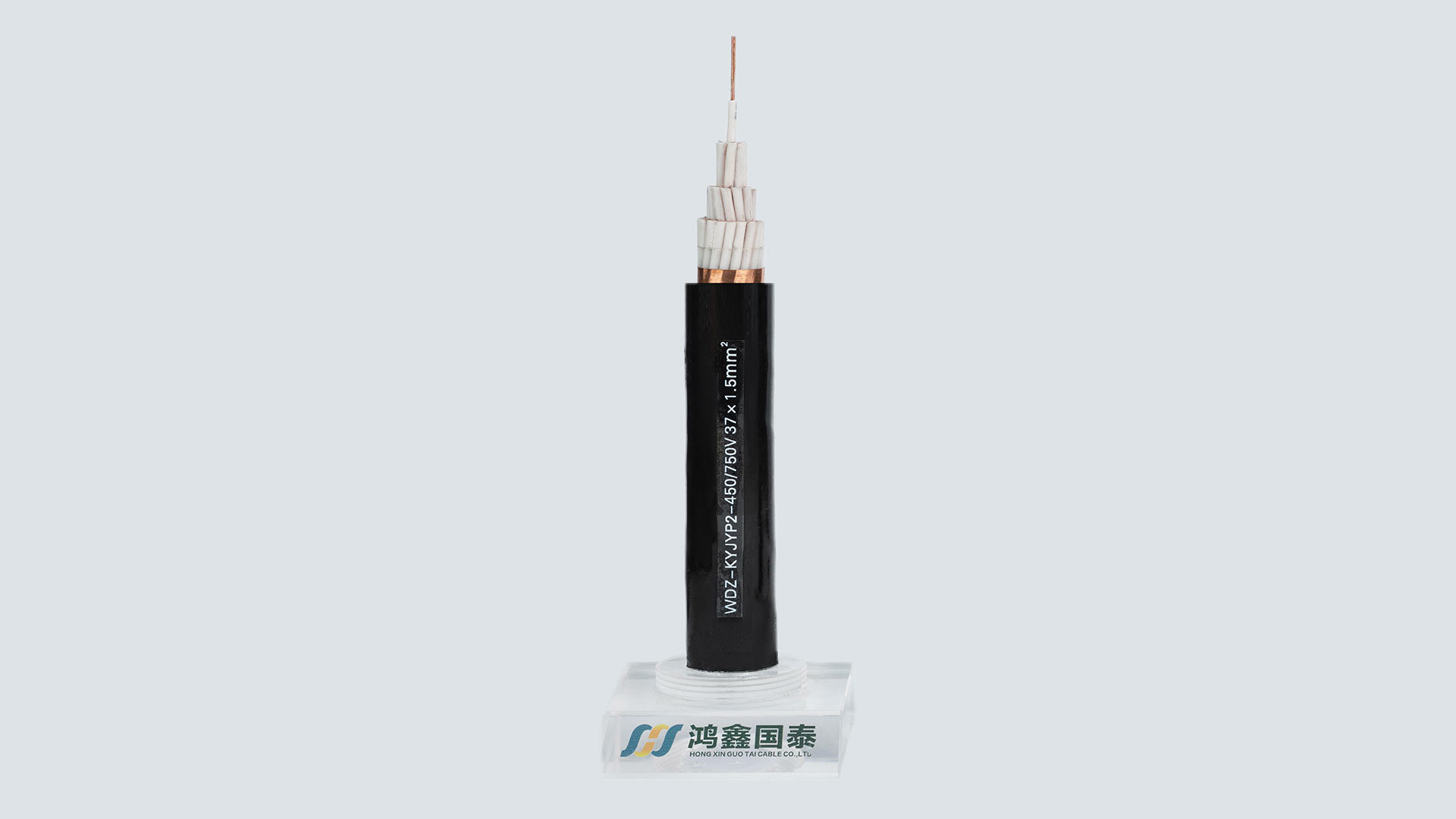 WDZ-KYJYP2-23
