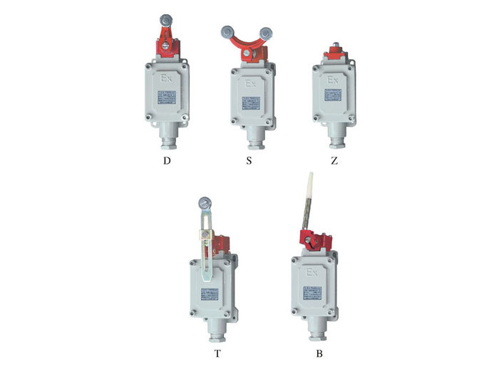 BLX51系列防爆行程开关（ⅡB、DIPA20）