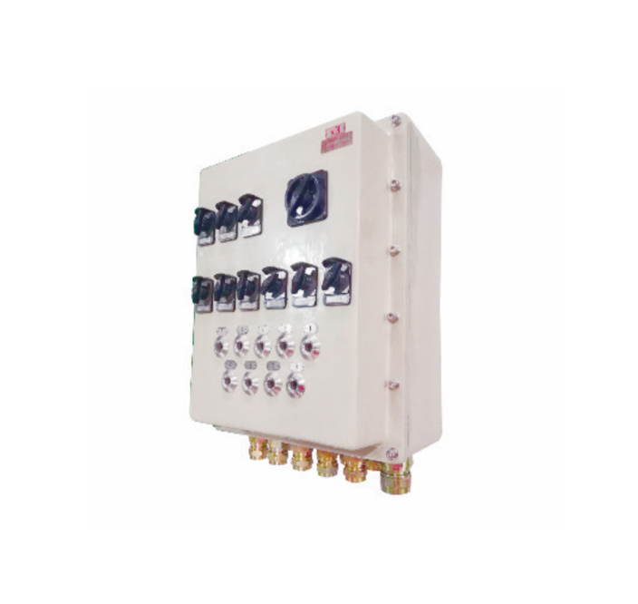 BX2G51 series explosion-proof and corrosion-proof distribution box (AC380V/220V 100A)