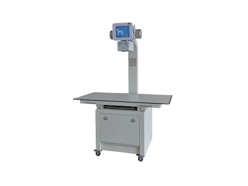 Digital X-ray System DR (Dual Monitor D20DR)