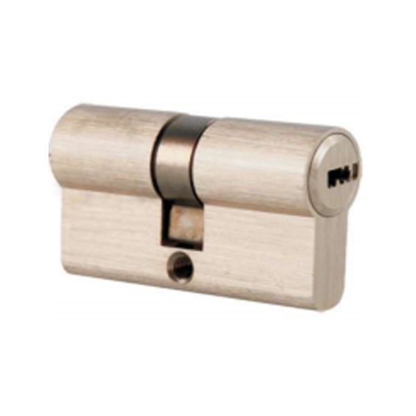 Double Row Pin & Snake Key Changes Cylinder