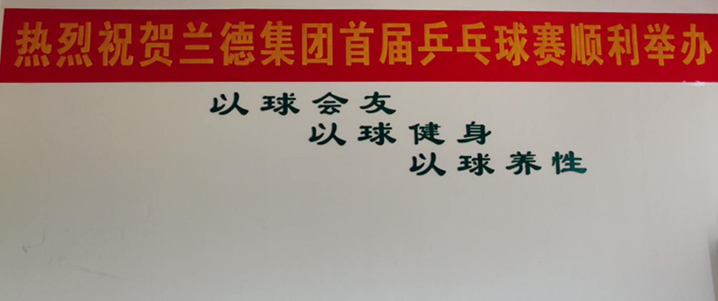 兰德集团首届员工运动季之乒乓球比赛
