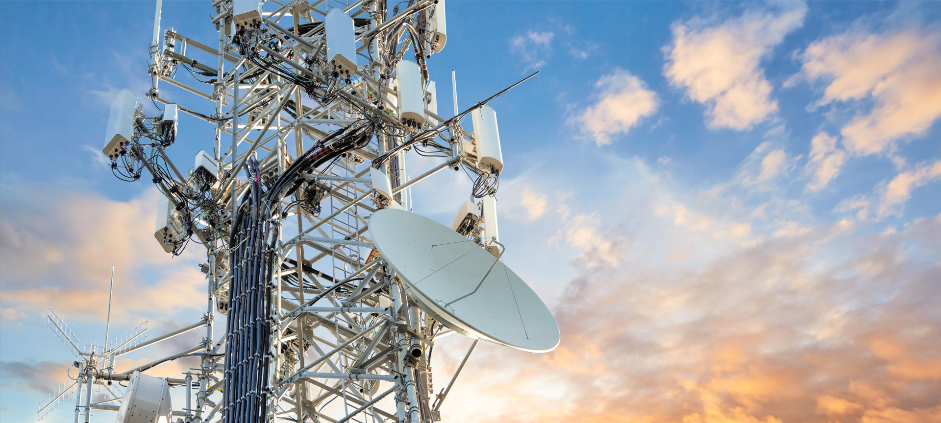 Signal Transmission Signal Transmission