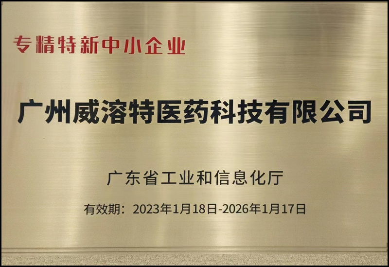 Guangdong Province Specialized Special New Small and Medium Enterprises Guangdong Province Specialized Special New Small and Medium Enterprises
