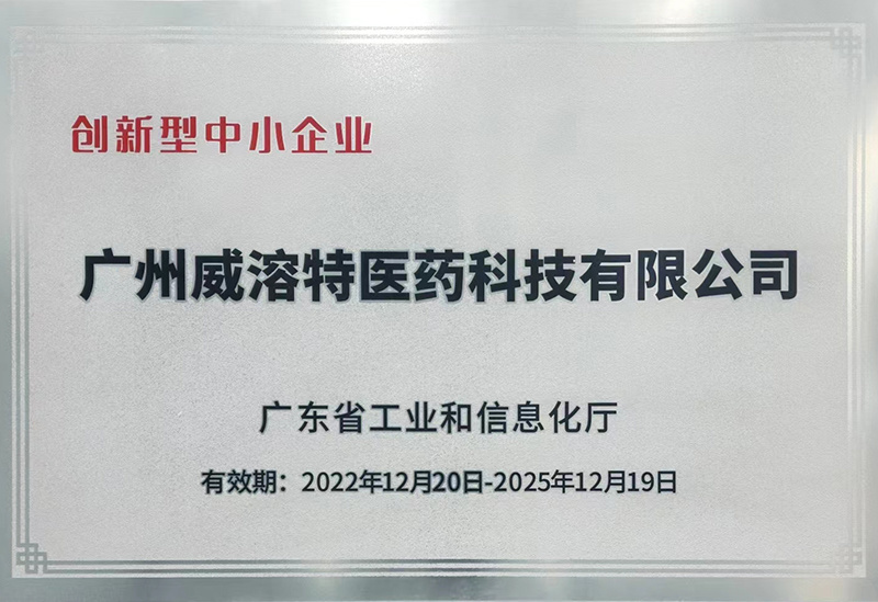 Innovative smes in Guangdong Province Innovative smes in Guangdong Province