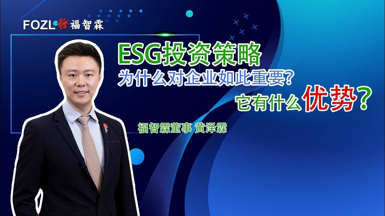 ESG投资策略是什么？为何它对企业如此地重要？它的优势又是什么？