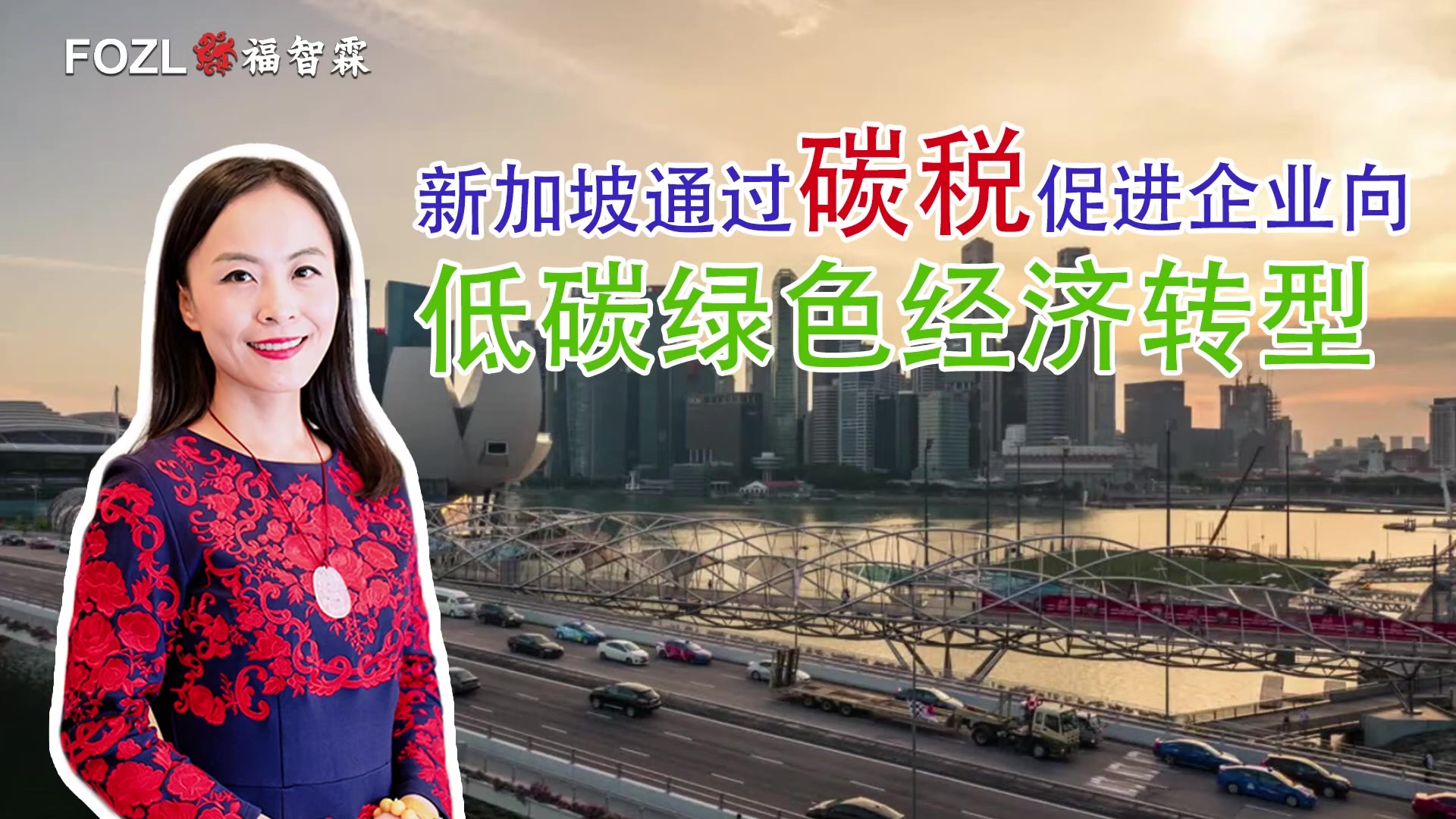 新加坡通过碳税促进企业向低碳绿色经济转型.mov