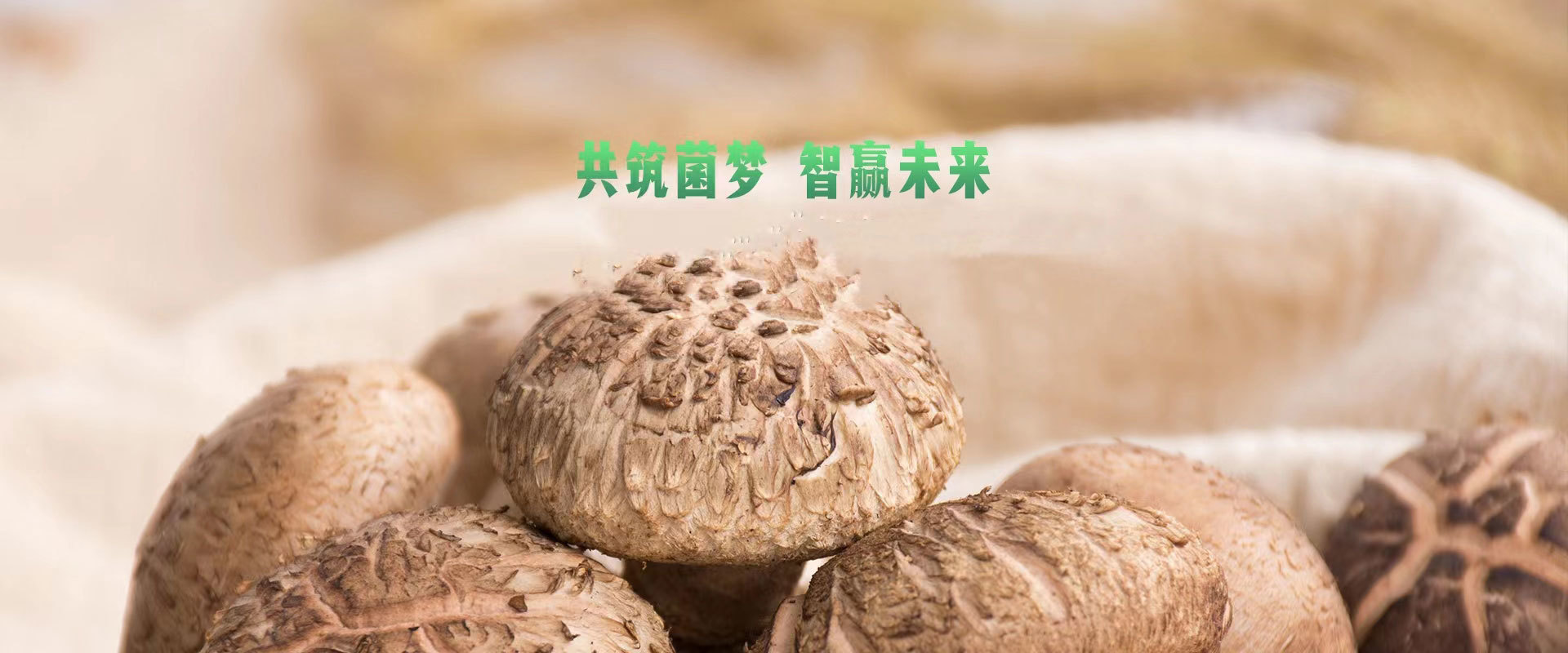 金海生物