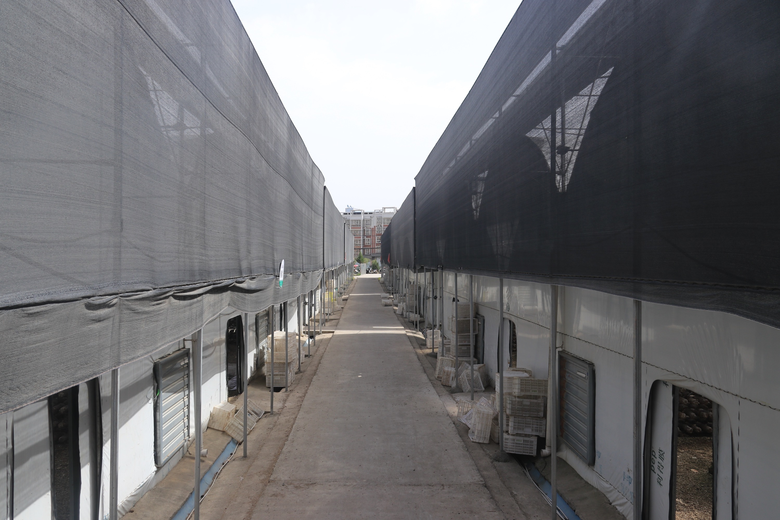 基地展示