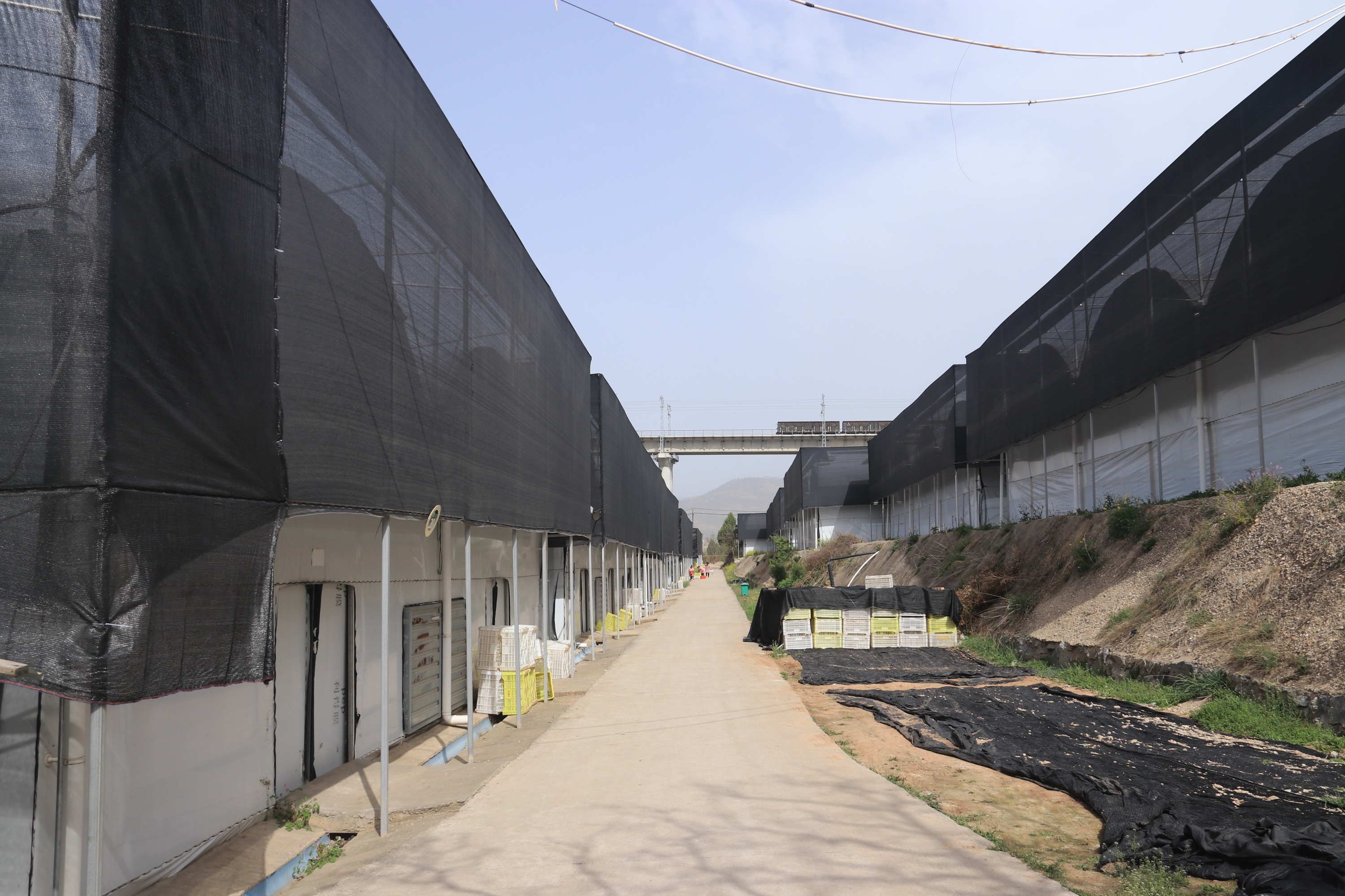 基地展示