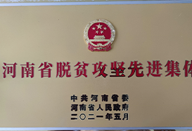 脫貧攻堅先進集體