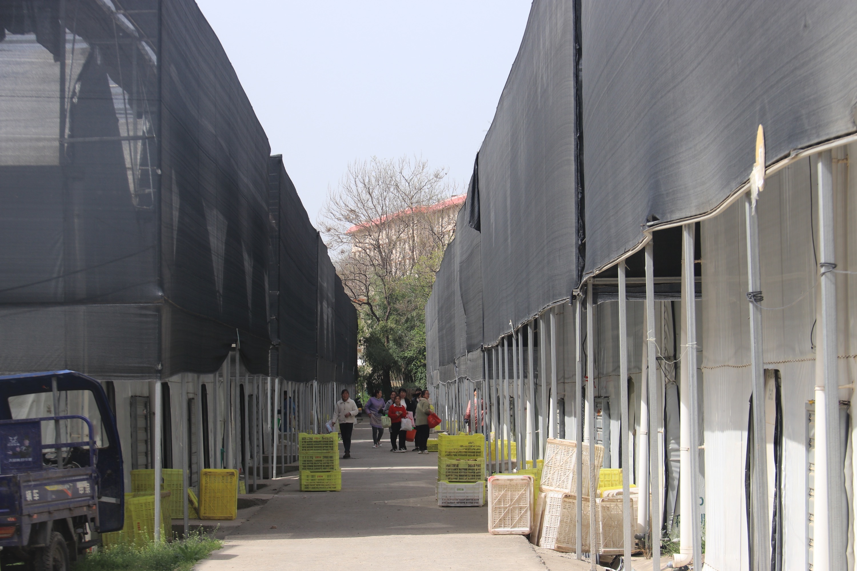 基地展示