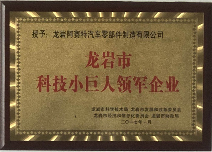 科技小巨人