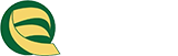 全丰电气