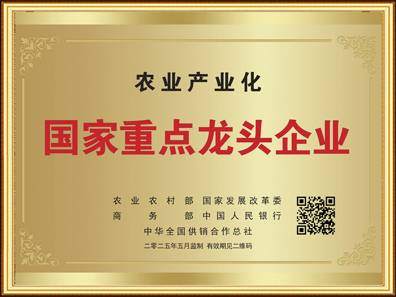 国家重点龙头企业
