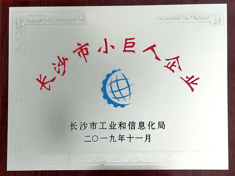 长沙市小巨人