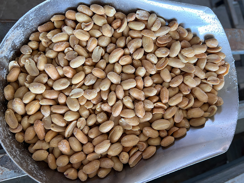 Roasted and salted peanut
