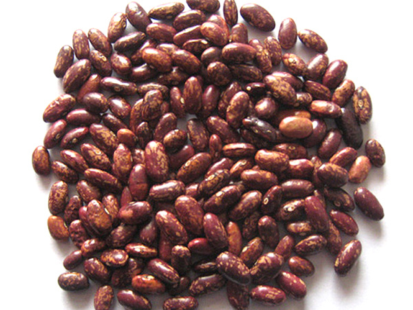 Cowpea