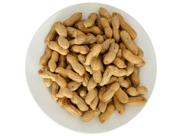 Peanut in shell