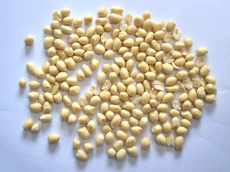 Blanched Peanuts