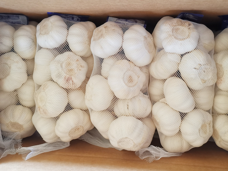 Pure white garlic
