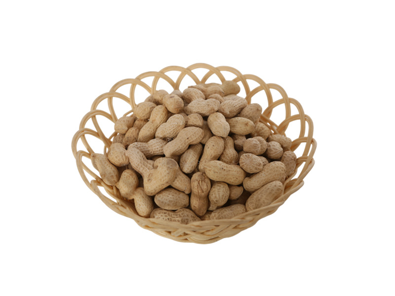 Peanut in shell