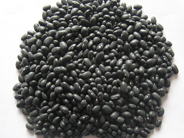 Black soya bean