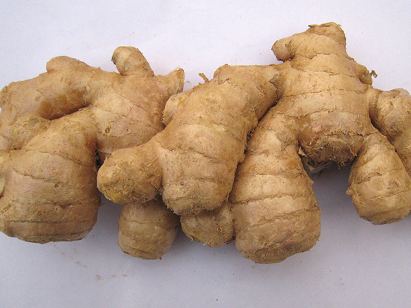 Ginger