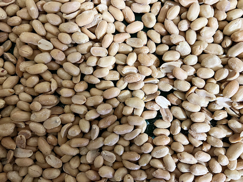 Roasted and salted peanut