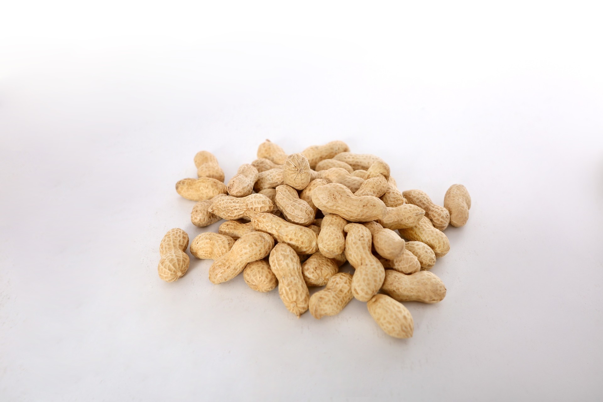 Peanut in shell