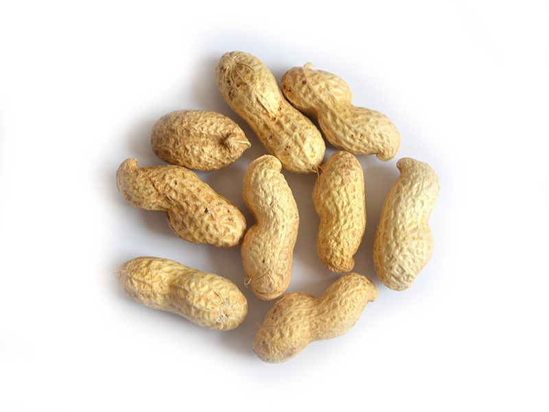 Peanut in shell