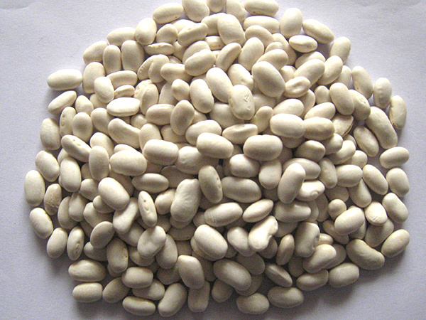 White kidney beans