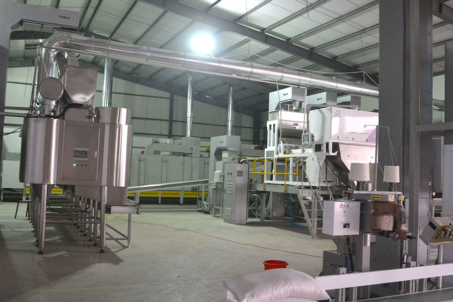 Factory Appearance