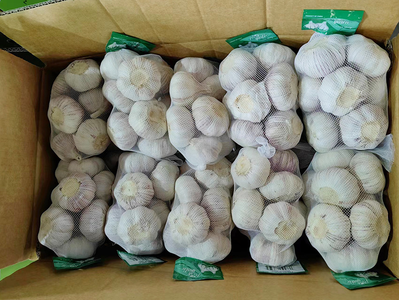 Pure white garlic