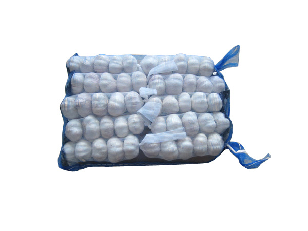 Pure white garlic