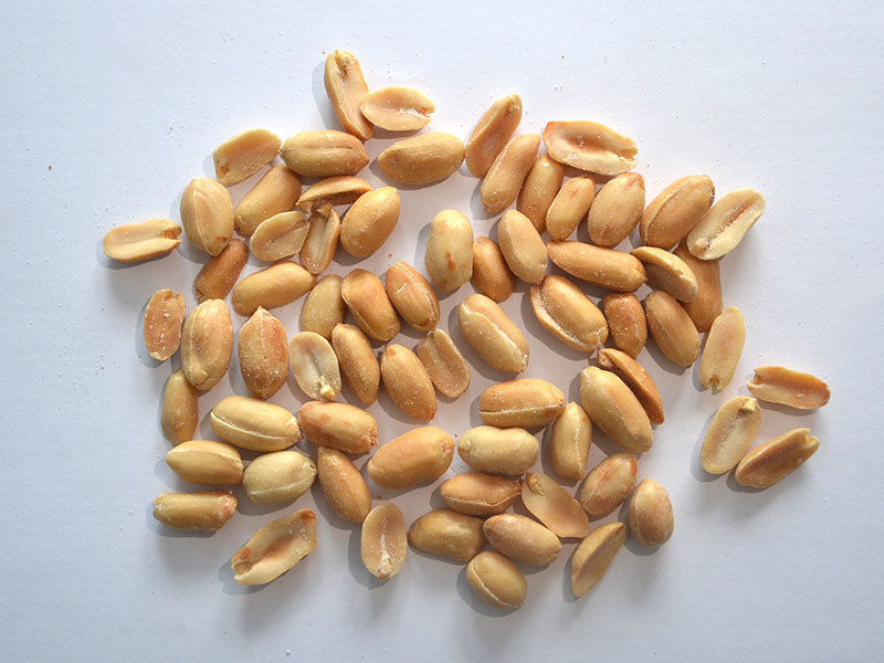Roasted and salted peanut