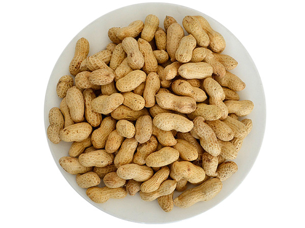 Peanut in shell