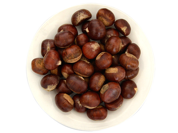 Chinese chestnut