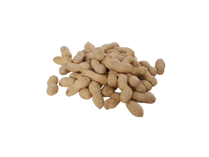 Peanut in shell