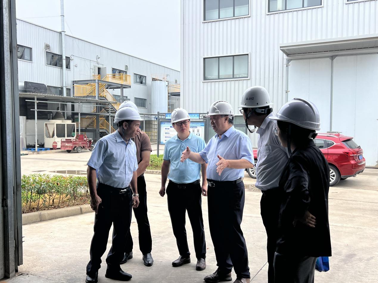 The main leaders of Hainan rubber visited the company.
