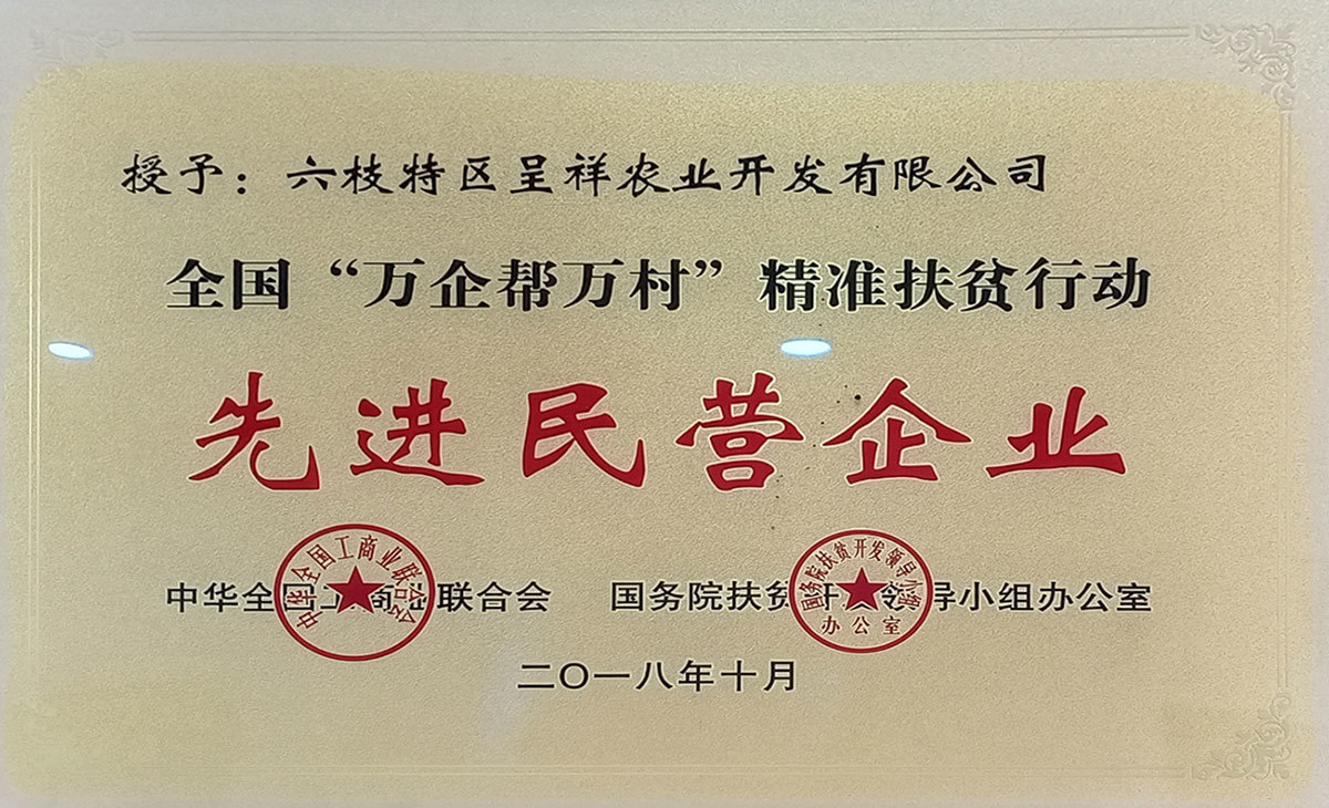 先進(jìn)民營(yíng)企業(yè)